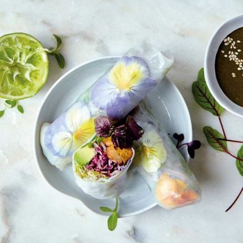 Nama Harumaki - Vegan/Vegetarian Fresh Spring Rolls